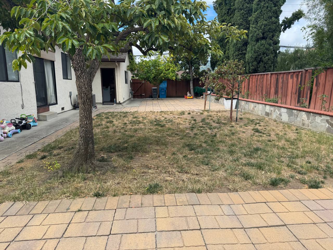 Backyard